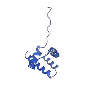 31806_7v90_D_v1-3
Telomeric mononucleosome