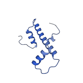 31806_7v90_F_v1-3
Telomeric mononucleosome