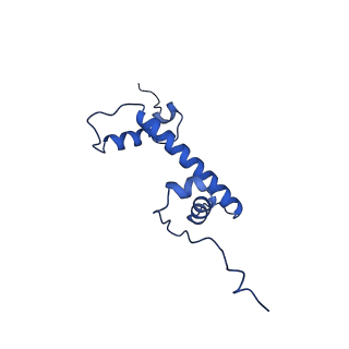 31806_7v90_G_v1-3
Telomeric mononucleosome