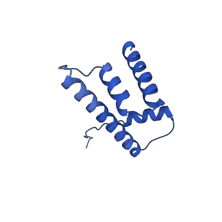 31806_7v90_H_v1-3
Telomeric mononucleosome