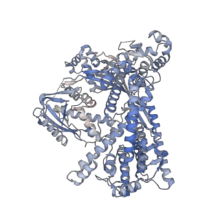 31807_7v93_A_v1-1
Cryo-EM structure of the Cas12c2-sgRNA binary complex