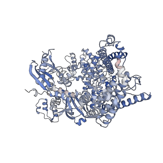 31808_7v94_A_v1-1
Cryo-EM structure of the Cas12c2-sgRNA-target DNA ternary complex
