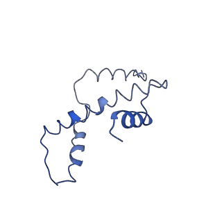 31810_7v96_A_v1-3
Telomeric Dinucleosome
