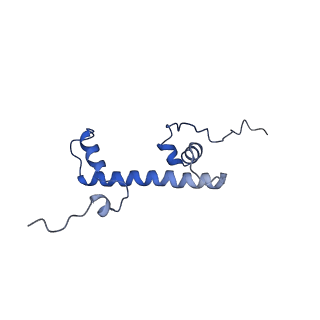 31810_7v96_C_v1-3
Telomeric Dinucleosome