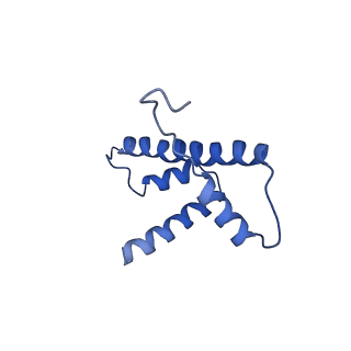 31810_7v96_D_v1-3
Telomeric Dinucleosome
