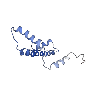 31810_7v96_E_v1-3
Telomeric Dinucleosome