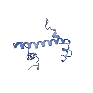 31810_7v96_F_v1-3
Telomeric Dinucleosome