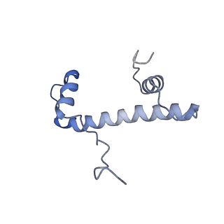 31810_7v96_L_v1-3
Telomeric Dinucleosome