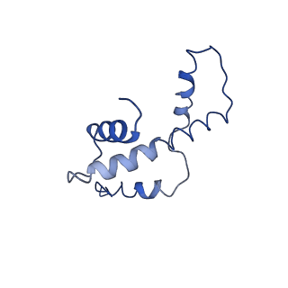31810_7v96_O_v1-3
Telomeric Dinucleosome