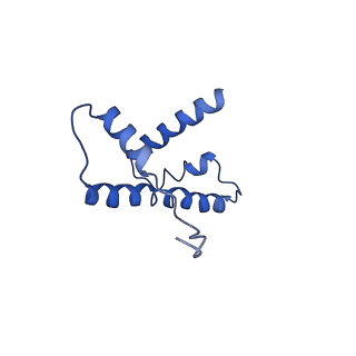 31810_7v96_R_v1-3
Telomeric Dinucleosome