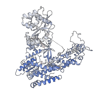 31811_7v99_A_v1-0
catalytic core of human telomerase holoenzyme
