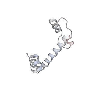 31811_7v99_K_v1-0
catalytic core of human telomerase holoenzyme