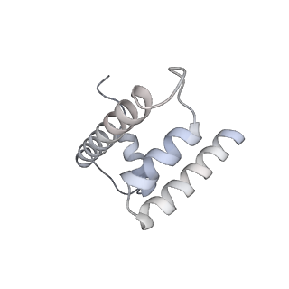 31811_7v99_L_v1-0
catalytic core of human telomerase holoenzyme