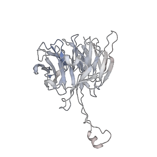 31813_7v9a_B_v1-0
biogenesis module of human telomerase holoenzyme