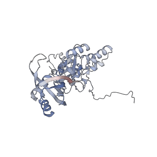 31813_7v9a_C_v1-0
biogenesis module of human telomerase holoenzyme