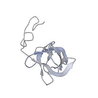 31813_7v9a_D_v1-0
biogenesis module of human telomerase holoenzyme