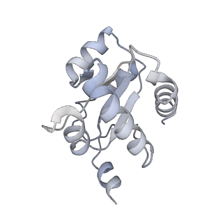 31813_7v9a_E_v1-0
biogenesis module of human telomerase holoenzyme