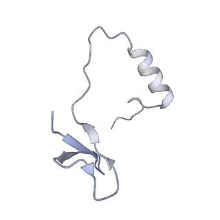 31813_7v9a_F_v1-0
biogenesis module of human telomerase holoenzyme