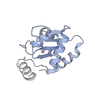 31813_7v9a_I_v1-0
biogenesis module of human telomerase holoenzyme