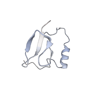 31813_7v9a_J_v1-0
biogenesis module of human telomerase holoenzyme