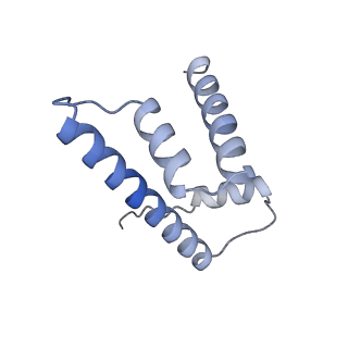 31815_7v9c_D_v1-3
Telomeric Dinucleosome in open state
