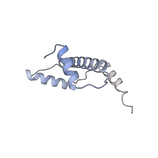 31815_7v9c_E_v1-3
Telomeric Dinucleosome in open state