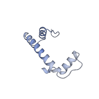 31815_7v9c_F_v1-3
Telomeric Dinucleosome in open state