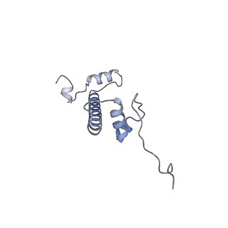 31815_7v9c_G_v1-3
Telomeric Dinucleosome in open state