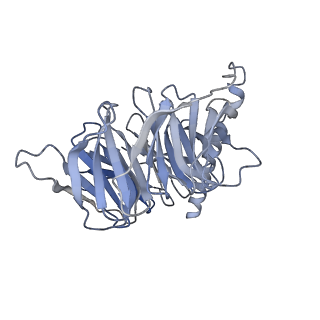 31825_7v9m_B_v1-1
Cryo-EM structure of the GHRH-bound human GHRHR splice variant 1 complex