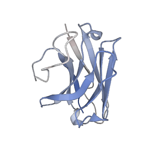 31825_7v9m_N_v1-1
Cryo-EM structure of the GHRH-bound human GHRHR splice variant 1 complex