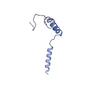 31825_7v9m_Y_v1-1
Cryo-EM structure of the GHRH-bound human GHRHR splice variant 1 complex
