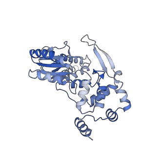 31827_7v9u_A_v1-1
Cryo-EM structure of E.coli retron-Ec86 (RT-msDNA-RNA) at 3.2 angstrom