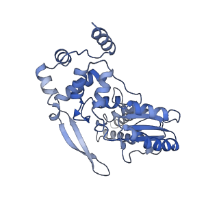 31827_7v9u_B_v1-1
Cryo-EM structure of E.coli retron-Ec86 (RT-msDNA-RNA) at 3.2 angstrom