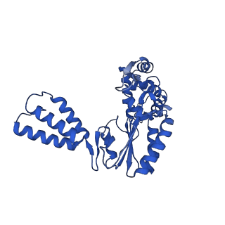 31829_7v9x_A_v1-0
Cryo-EM structure of E.coli retron-Ec86 in complex with its effector at 2.8 angstrom