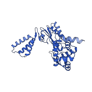 31829_7v9x_B_v1-0
Cryo-EM structure of E.coli retron-Ec86 in complex with its effector at 2.8 angstrom