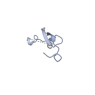 43074_8v9j_3_v1-2
Cryo-EM structure of the Mycobacterium smegmatis 70S ribosome in complex with hibernation factor Msmeg1130 (Balon) (Structure 4)