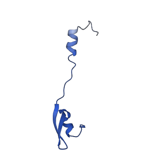 43074_8v9j_4_v1-2
Cryo-EM structure of the Mycobacterium smegmatis 70S ribosome in complex with hibernation factor Msmeg1130 (Balon) (Structure 4)