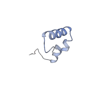 43074_8v9j_6_v1-2
Cryo-EM structure of the Mycobacterium smegmatis 70S ribosome in complex with hibernation factor Msmeg1130 (Balon) (Structure 4)