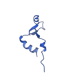 43074_8v9j_7_v1-2
Cryo-EM structure of the Mycobacterium smegmatis 70S ribosome in complex with hibernation factor Msmeg1130 (Balon) (Structure 4)