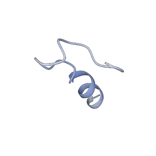 43074_8v9j_9_v1-2
Cryo-EM structure of the Mycobacterium smegmatis 70S ribosome in complex with hibernation factor Msmeg1130 (Balon) (Structure 4)