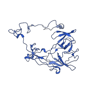 43074_8v9j_C_v1-2
Cryo-EM structure of the Mycobacterium smegmatis 70S ribosome in complex with hibernation factor Msmeg1130 (Balon) (Structure 4)