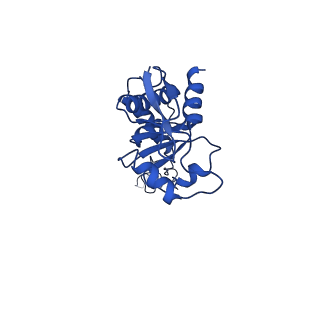 43074_8v9j_E_v1-2
Cryo-EM structure of the Mycobacterium smegmatis 70S ribosome in complex with hibernation factor Msmeg1130 (Balon) (Structure 4)