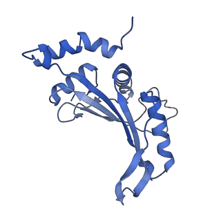 43074_8v9j_F_v1-2
Cryo-EM structure of the Mycobacterium smegmatis 70S ribosome in complex with hibernation factor Msmeg1130 (Balon) (Structure 4)