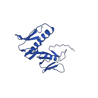 43074_8v9j_G_v1-2
Cryo-EM structure of the Mycobacterium smegmatis 70S ribosome in complex with hibernation factor Msmeg1130 (Balon) (Structure 4)