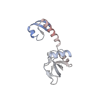43074_8v9j_H_v1-2
Cryo-EM structure of the Mycobacterium smegmatis 70S ribosome in complex with hibernation factor Msmeg1130 (Balon) (Structure 4)