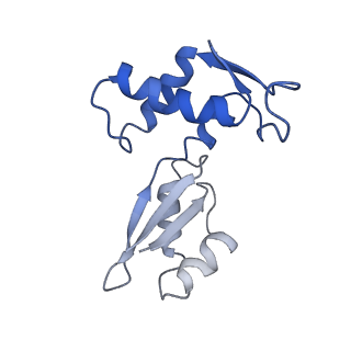 43074_8v9j_J_v1-2
Cryo-EM structure of the Mycobacterium smegmatis 70S ribosome in complex with hibernation factor Msmeg1130 (Balon) (Structure 4)