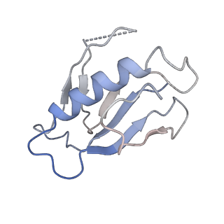 43074_8v9j_K_v1-2
Cryo-EM structure of the Mycobacterium smegmatis 70S ribosome in complex with hibernation factor Msmeg1130 (Balon) (Structure 4)