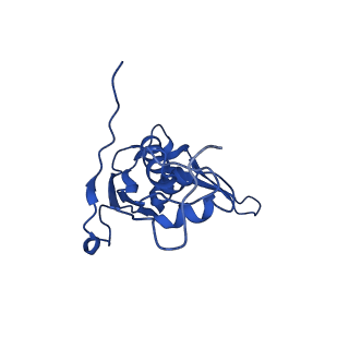 43074_8v9j_L_v1-2
Cryo-EM structure of the Mycobacterium smegmatis 70S ribosome in complex with hibernation factor Msmeg1130 (Balon) (Structure 4)