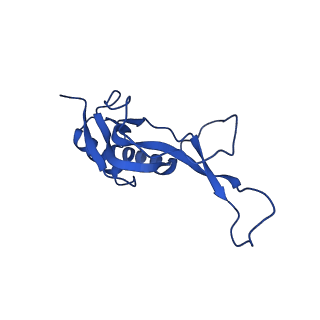 43074_8v9j_O_v1-2
Cryo-EM structure of the Mycobacterium smegmatis 70S ribosome in complex with hibernation factor Msmeg1130 (Balon) (Structure 4)