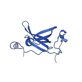 43074_8v9j_R_v1-2
Cryo-EM structure of the Mycobacterium smegmatis 70S ribosome in complex with hibernation factor Msmeg1130 (Balon) (Structure 4)